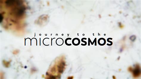 Microcosmos: Un Viaggio Illuminante nel Mondo Invisibile!